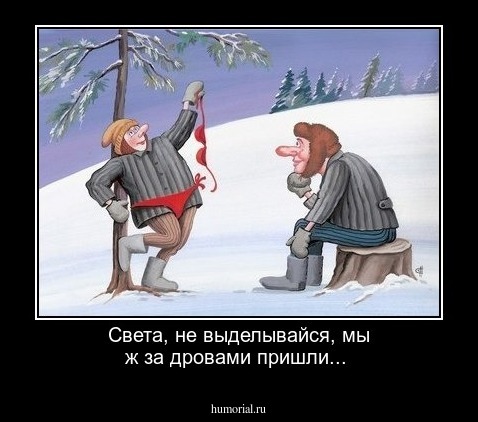 Света, не выделывайся, мы ж за дровами пришли...