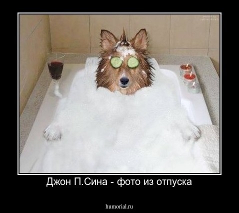 Джон П.Сина - фото из отпуска