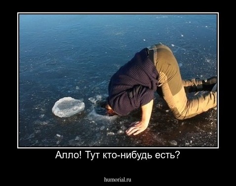 Алло! Тут кто-нибудь есть?