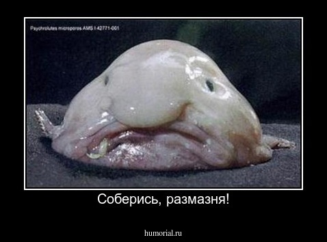 Соберись, размазня!