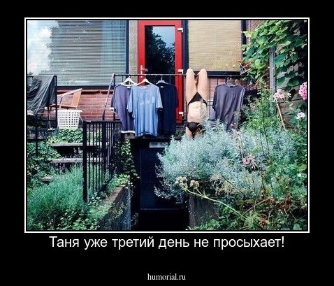 Таня уже третий день не просыхает!