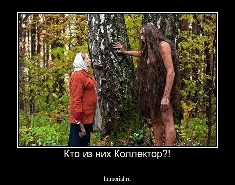 Кто из них Коллектор?!