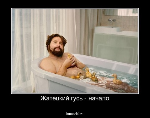 Жатецкий гусь - начало
