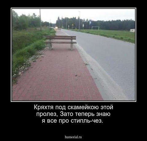 Кряхтя под скамейкою этой пролез,
Зато теперь знаю я все про стипль-чез.