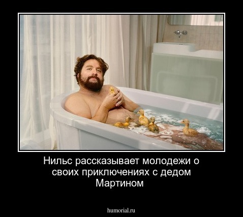 Нильс рассказывает молодежи о своих приключениях с дедом Мартином
