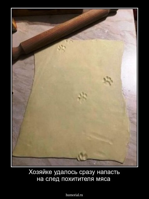 Хозяйке удалось сразу напасть на след похитителя мяса