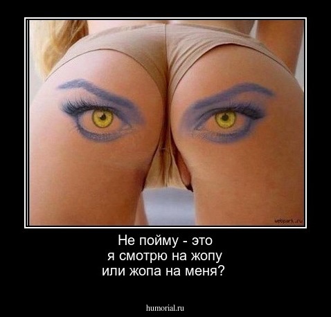 Не пойму - это я смотрю на жопу или жопа на меня?