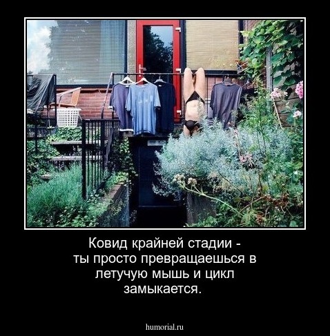 Ковид крайней стадии - ты просто превращаешься в летучую мышь и цикл замыкается.