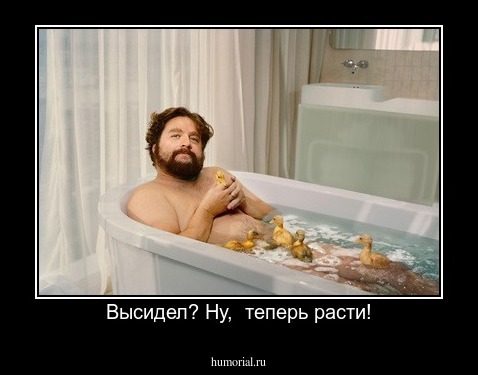 Высидел? Ну,  теперь расти!