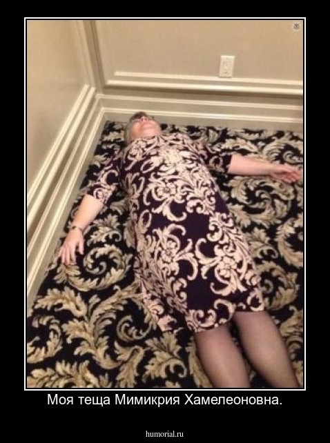 Моя теща Мимикрия Хамелеоновна.
