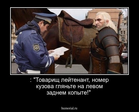  : "Товарищ лейтенант, номер кузова гляньте на левом заднем копыте!"