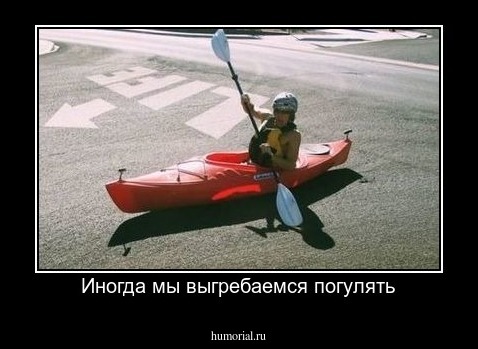 Иногда мы выгребаемся погулять