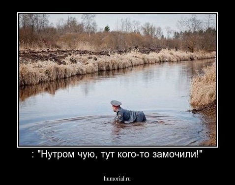  : "Нутром чую, тут кого-то замочили!"