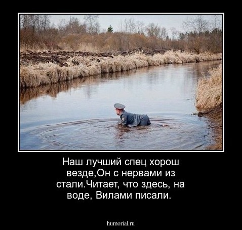 Наш лучший спец хорош везде,Он с нервами из стали.Читает, что здесь, на воде, Вилами писали.