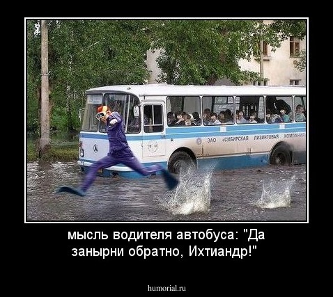 мысль водителя автобуса: "Да занырни обратно, Ихтиандр!"