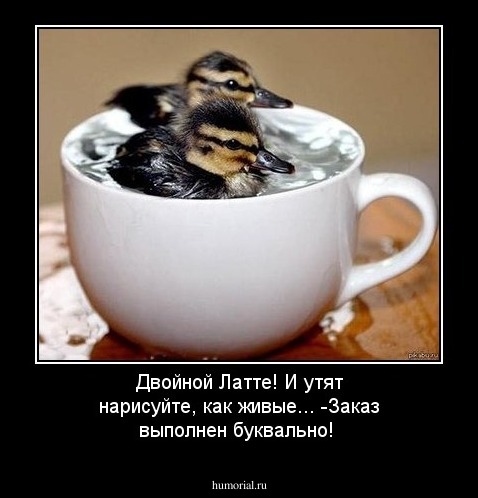 Двойной Латте! И утят нарисуйте, как живые... -Заказ выполнен буквально!