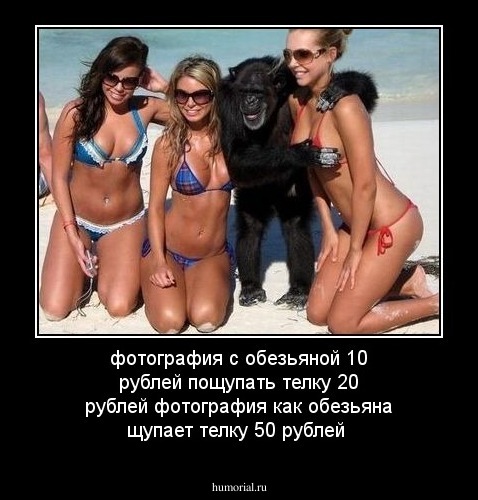 фотография с обезьяной 10 рублей 
пощупать телку 20 рублей
фотография как обезьяна щупает телку 50 рублей