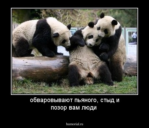обваровывают пьяного, стыд и позор вам люди