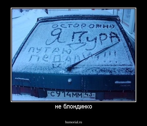 не блондинко