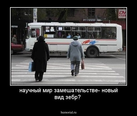 научный мир замешательстве- новый вид зебр?