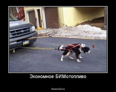 Экономное БИМотопливо