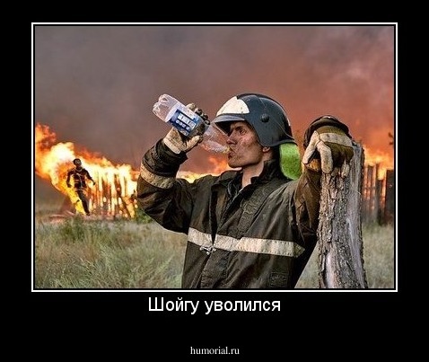 Шойгу уволился