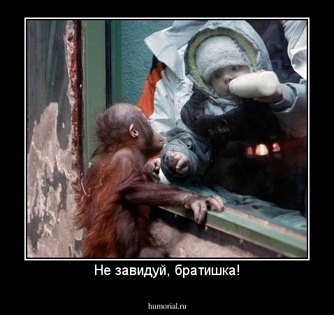 Не завидуй, братишка!