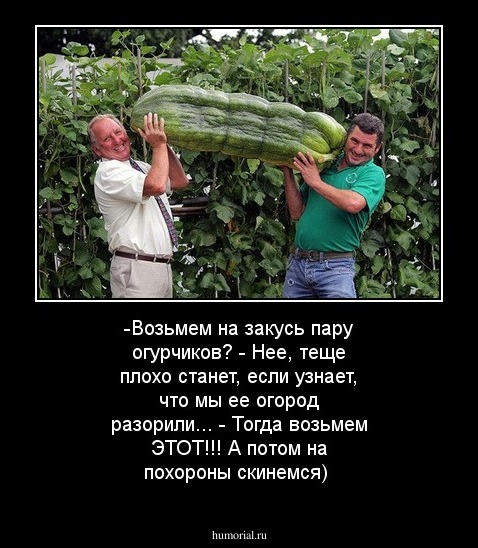 -Возьмем на закусь пару огурчиков? - Нее, теще плохо станет, если узнает, что мы ее огород разорили... - Тогда возьмем ЭТОТ!!! А потом на похороны скинемся)
