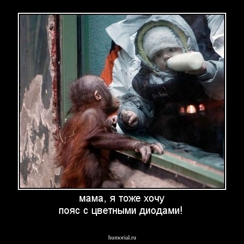 мама, я тоже хочу пояс с цветными диодами!