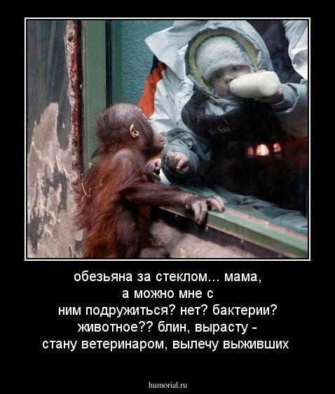 обезьяна за стеклом... мама, а можно мне с ним подружиться? нет? бактерии? животное?? блин, вырасту -  стану ветеринаром, вылечу выживших