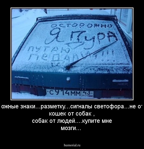 ....дорожные знаки...разметку...сигналы светофора...не отличаю кошек от собак , собак от людей....купите мне мозги...