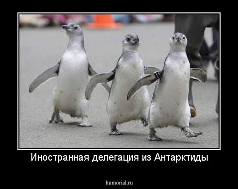 Иностранная делегация из Антарктиды