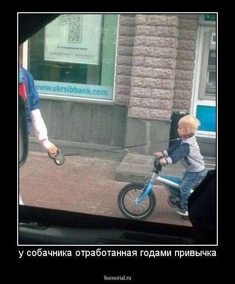 у собачника отработанная годами привычка