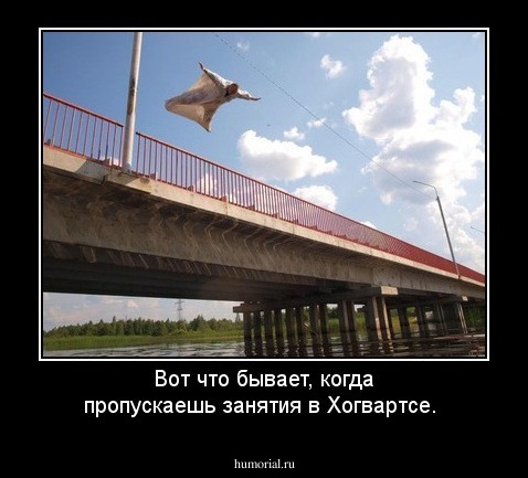 Вот что бывает, когда пропускаешь занятия в Хогвартсе. 