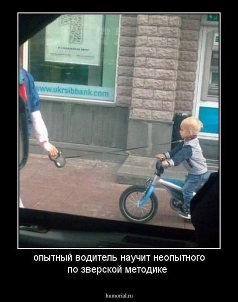 опытный водитель научит неопытного по зверской методике