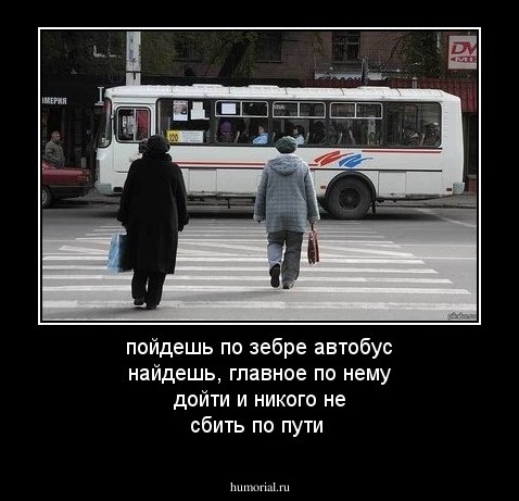 пойдешь по зебре автобус найдешь, главное по нему дойти и никого не сбить по пути