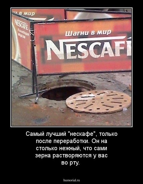 Самый лучший "нескафе", только после переработки. Он на столько нежный, что сами зерна растворяются у вас во рту. 