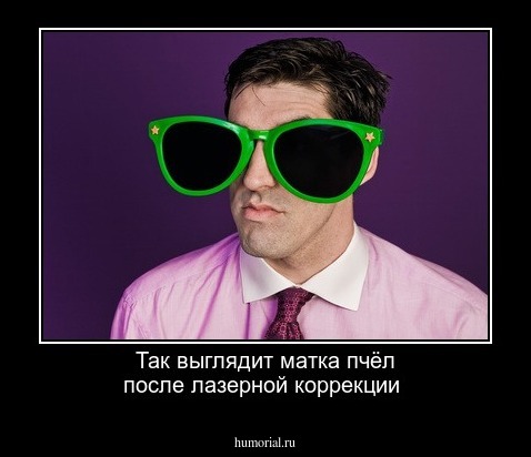 Так выглядит матка пчёл после лазерной коррекции 