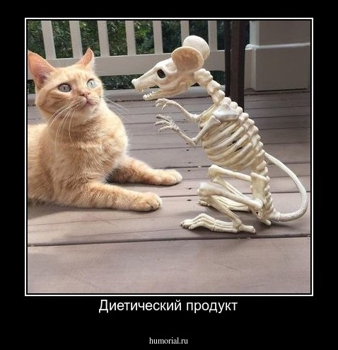 Диетический продукт