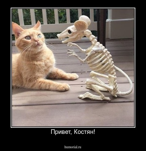 Привет, Костян!