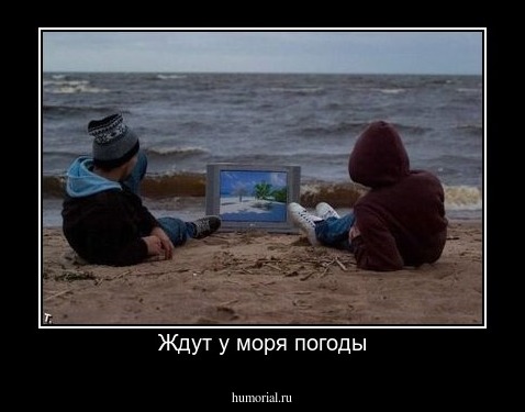 Ждут у моря погоды