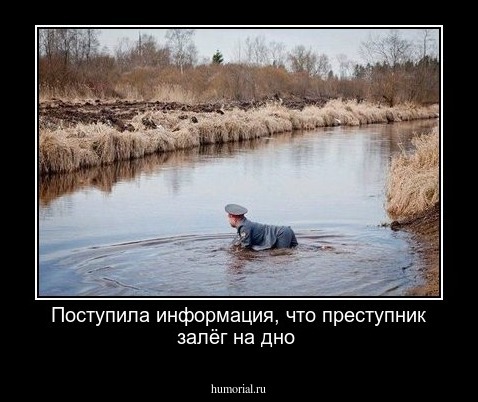 Поступила информация, что преступник залёг на дно