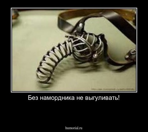 Без намордника не выгуливать!

 