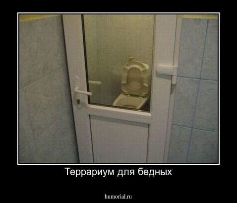 Террариум для бедных