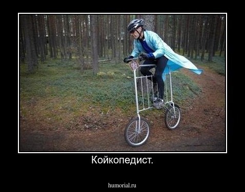 Койкопедист.