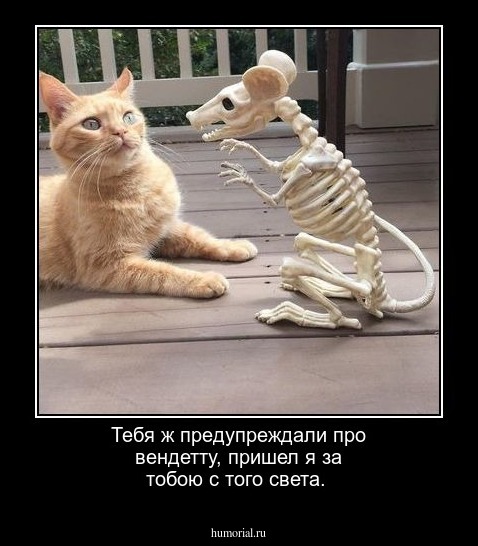 Тебя ж предупреждали про вендетту,
пришел я за тобою с того света.