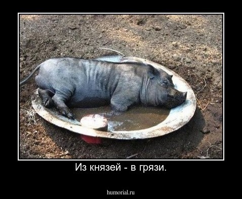Из князей - в грязи.