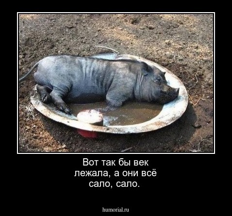 Вот так бы век лежала, а они всё сало, сало.