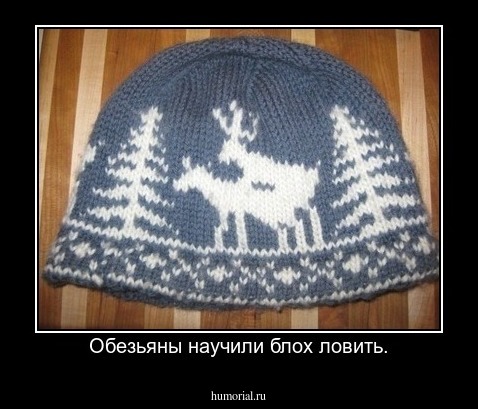 Обезьяны научили блох ловить.