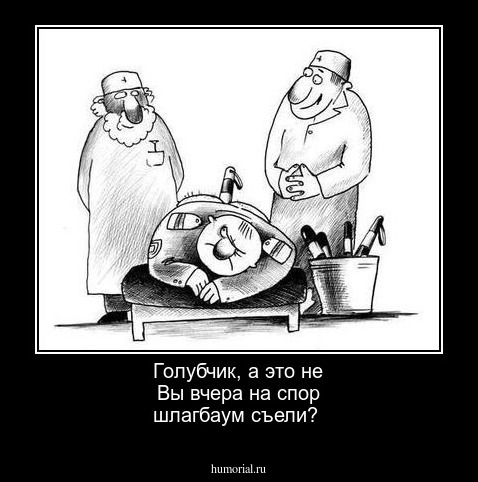 Голубчик, а это не Вы вчера на спор шлагбаум съели?